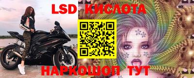 спиды Будённовск