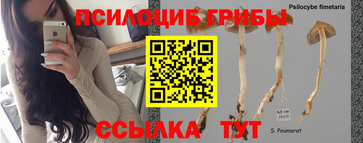 Псилоцибиновые грибы MAGIC MUSHROOMS  Псилоцибиновые грибы Magic Shrooms  Вход с VPN  Россошь 